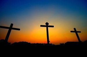 16042_101748429846801_100000349326220_42349_4510597_n