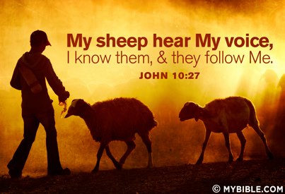 182499_299920876790178_429809857_n