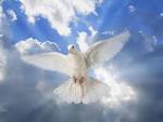 dove holy spirit