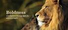 lion boldness