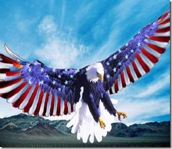 a4746522478_american_eagle_xlarge