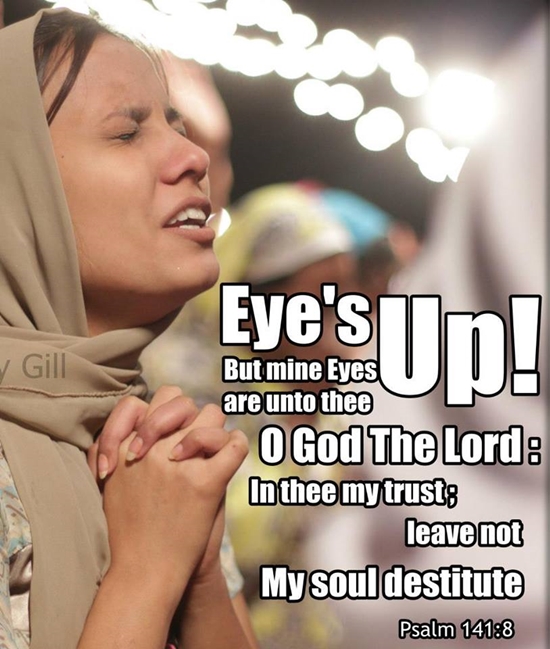 Photo property of Sunny Gill (use permitted to VOP)