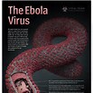 ebola