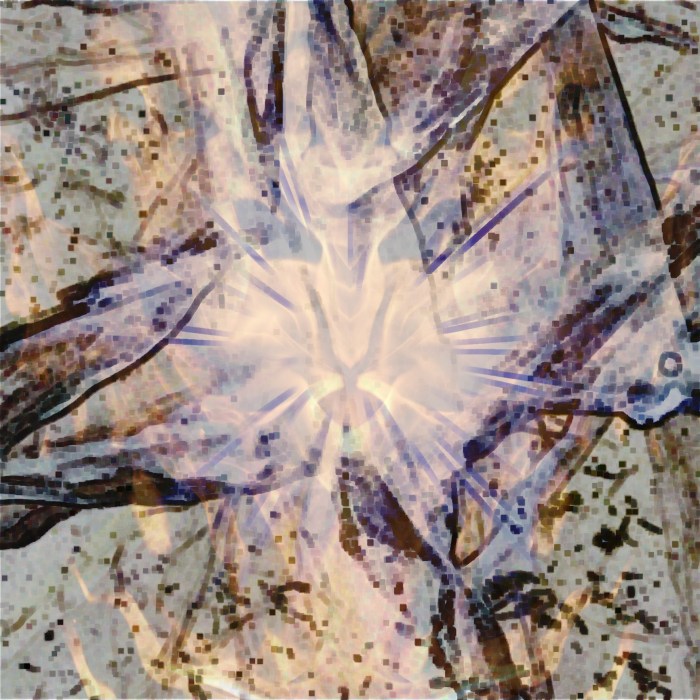 And I stood upon the sand of the sea, and saw a beast rise up out of the sea, having seven heads and ten horns, and upon his horns ten crowns, and upon his heads the name of blasphemy.