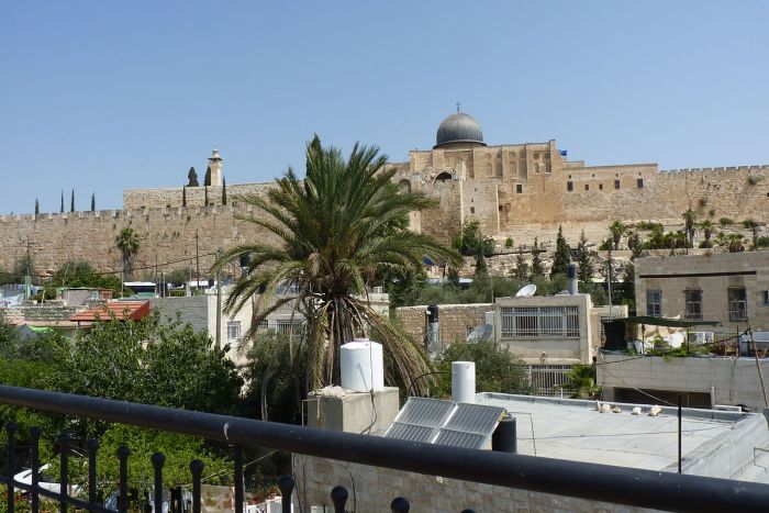 By Ricardo Tulio Gandelman from Rio de Janeiro, Brazil (P1110569) [CC-BY-2.0 (http://creativecommons.org/licenses/by/2.0)], via Wikimedia Commons