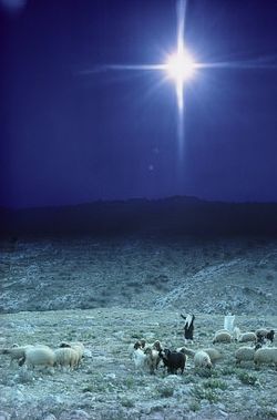 Unto you is born this day in the city of David, a SAVIOR+ which is YeSHUA+ ADONAI.