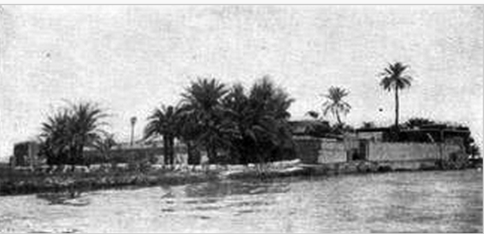 Photograph of Ezra's Tomb, early 20th century. The dome is hidden by date palms.