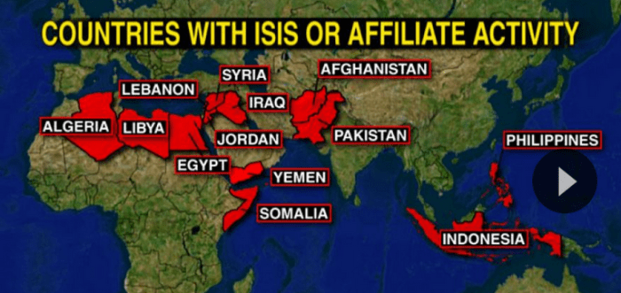 Screen Grab Fox News