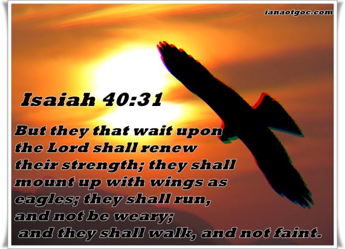 Wait on the Lord