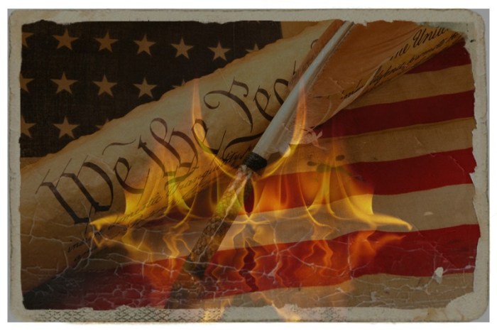 constitutioninflames