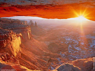 CHOSEN DARKNESS SHEDDING OF BLOOD