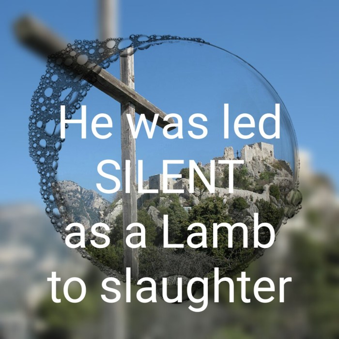 wp-1458566443336 image