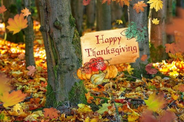 Thanksgiving-public-domain-768x511