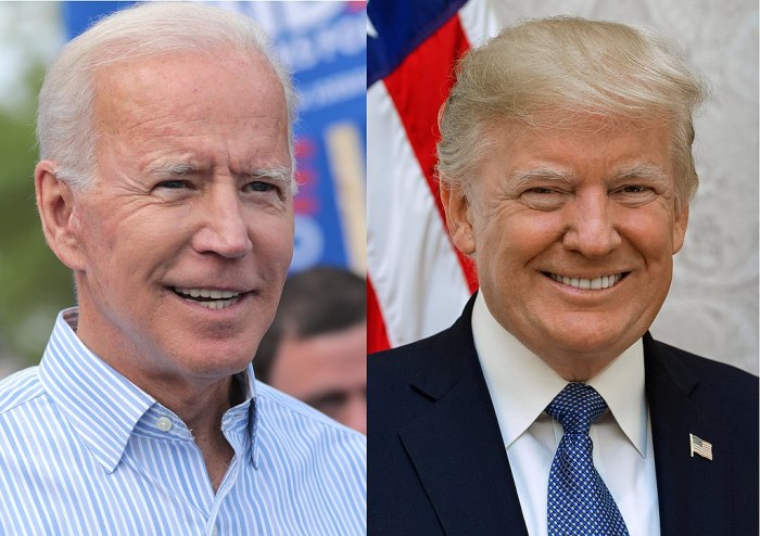 Joe-Biden-Donald-Trump-public-domain